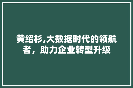 黄绍杉,大数据时代的领航者，助力企业转型升级