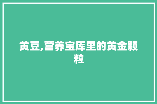 黄豆,营养宝库里的黄金颗粒