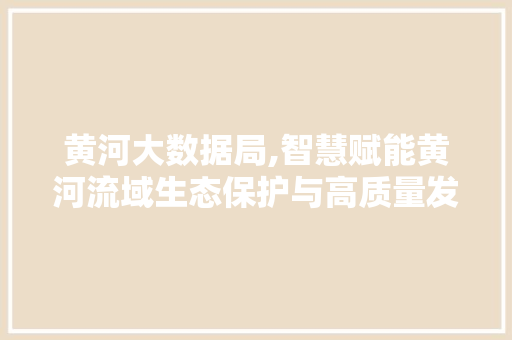 黄河大数据局,智慧赋能黄河流域生态保护与高质量发展