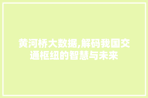 黄河桥大数据,解码我国交通枢纽的智慧与未来