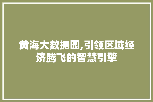黄海大数据园,引领区域经济腾飞的智慧引擎