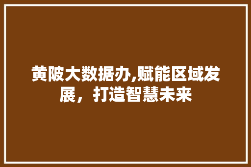 黄陂大数据办,赋能区域发展，打造智慧未来