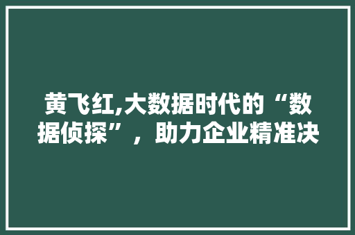 黄飞红,大数据时代的“数据侦探”，助力企业精准决策