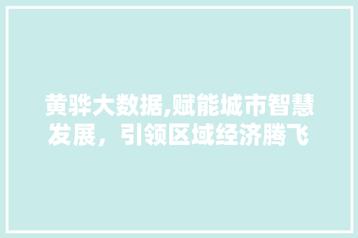 黄骅大数据,赋能城市智慧发展，引领区域经济腾飞