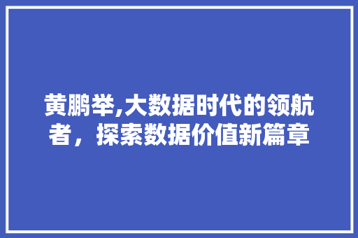 黄鹏举,大数据时代的领航者，探索数据价值新篇章
