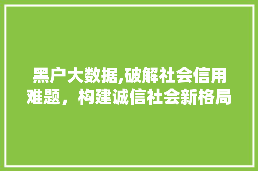 黑户大数据,破解社会信用难题，构建诚信社会新格局