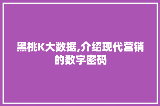 黑桃K大数据,介绍现代营销的数字密码
