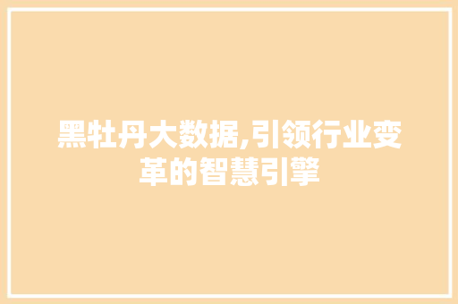 黑牡丹大数据,引领行业变革的智慧引擎