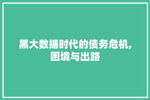 黑大数据时代的债务危机,困境与出路