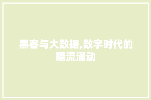 黑客与大数据,数字时代的暗流涌动