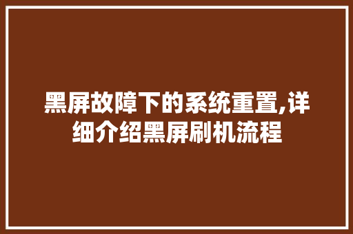 黑屏故障下的系统重置,详细介绍黑屏刷机流程