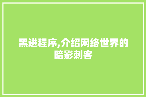 黑进程序,介绍网络世界的暗影刺客