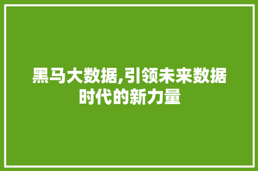 黑马大数据,引领未来数据时代的新力量