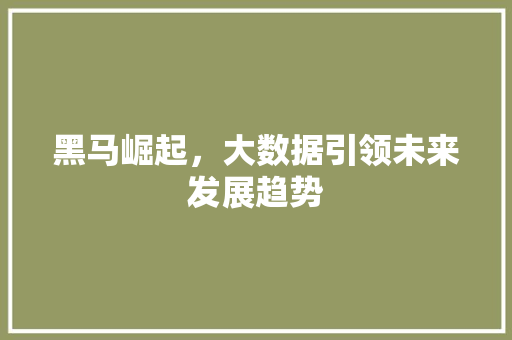 黑马崛起，大数据引领未来发展趋势