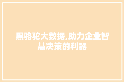 黑骆驼大数据,助力企业智慧决策的利器