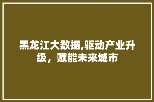 黑龙江大数据,驱动产业升级，赋能未来城市