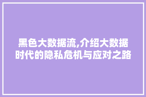 黑色大数据流,介绍大数据时代的隐私危机与应对之路