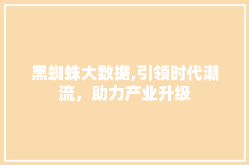 黑蜘蛛大数据,引领时代潮流，助力产业升级
