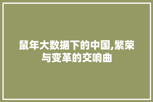 鼠年大数据下的中国,繁荣与变革的交响曲