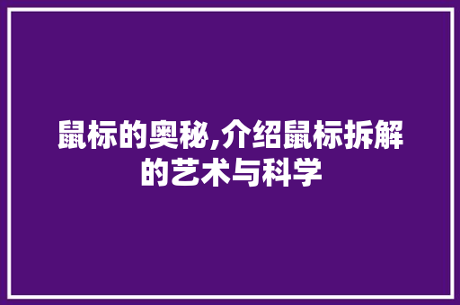 鼠标的奥秘,介绍鼠标拆解的艺术与科学