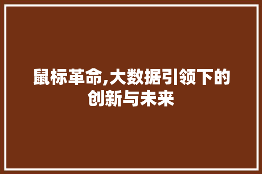 鼠标革命,大数据引领下的创新与未来