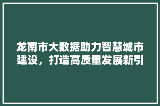 龙南市大数据助力智慧城市建设，打造高质量发展新引擎