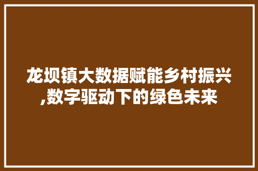龙坝镇大数据赋能乡村振兴,数字驱动下的绿色未来 百度SEO