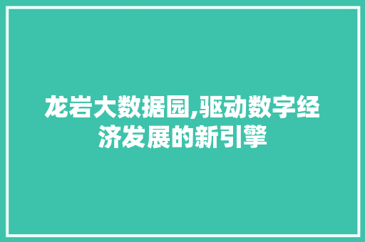 龙岩大数据园,驱动数字经济发展的新引擎 SEO关键词