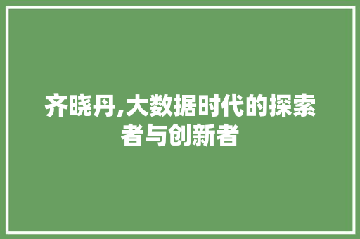 齐晓丹,大数据时代的探索者与创新者