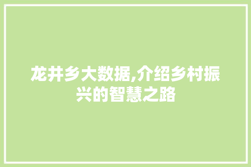 龙井乡大数据,介绍乡村振兴的智慧之路