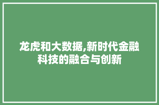 龙虎和大数据,新时代金融科技的融合与创新