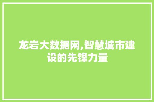 龙岩大数据网,智慧城市建设的先锋力量