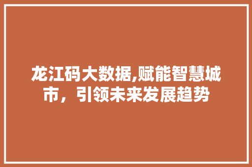 龙江码大数据,赋能智慧城市，引领未来发展趋势