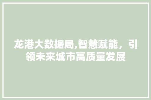 龙港大数据局,智慧赋能，引领未来城市高质量发展