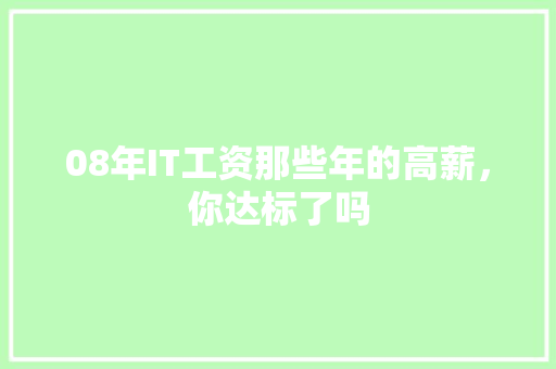 08年IT工资那些年的高薪，你达标了吗 神马SEO
