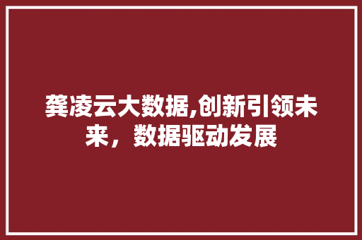 龚凌云大数据,创新引领未来，数据驱动发展