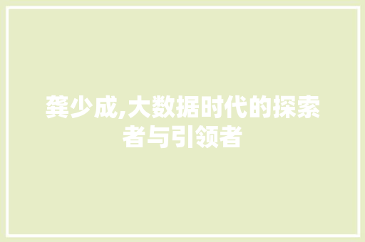 龚少成,大数据时代的探索者与引领者