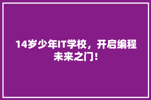 14岁少年IT学校，开启编程未来之门！ 神马SEO