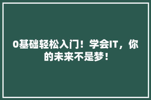 0基础轻松入门！学会IT，你的未来不是梦！ SEO关键词