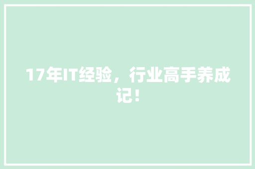 17年IT经验，行业高手养成记！ 百度SEO