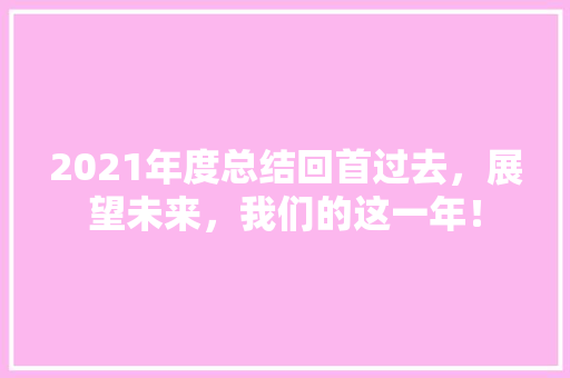 2021年度总结回首过去，展望未来，我们的这一年！ 神马SEO