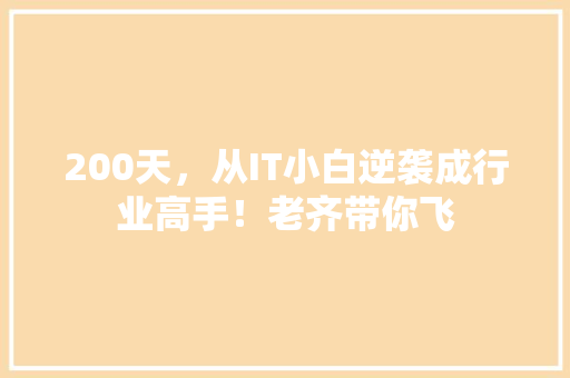 200天，从IT小白逆袭成行业高手！老齐带你飞 网站建设公司