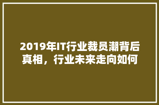 2019年IT行业裁员潮背后真相，行业未来走向如何 神马SEO