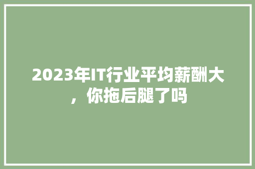 2023年IT行业平均薪酬大，你拖后腿了吗 神马SEO