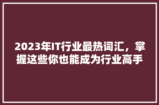 2023年IT行业最热词汇，掌握这些你也能成为行业高手！ 必应SEO