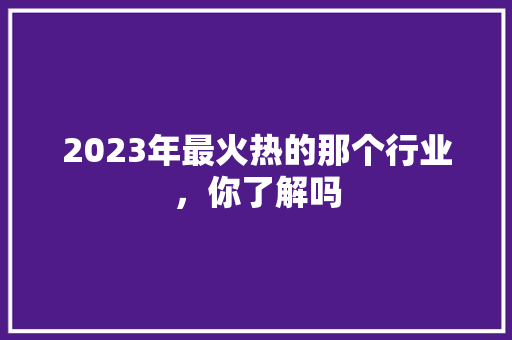 2023年最火热的那个行业，你了解吗 必应SEO