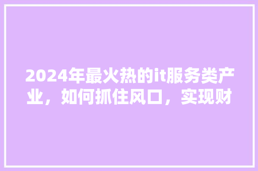 2024年最火热的it服务类产业，如何抓住风口，实现财富翻倍 网站建设公司