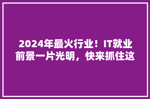 2024年最火行业！IT就业前景一片光明，快来抓住这个黄金职业机会！ 必应SEO