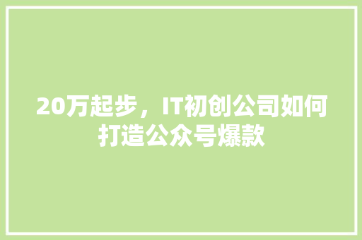 20万起步，IT初创公司如何打造公众号爆款 必应SEO