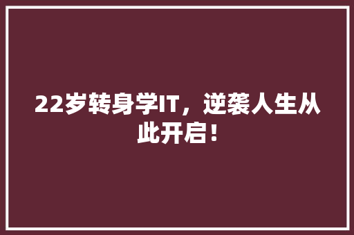 22岁转身学IT，逆袭人生从此开启！ SEO关键词